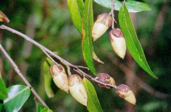 image012