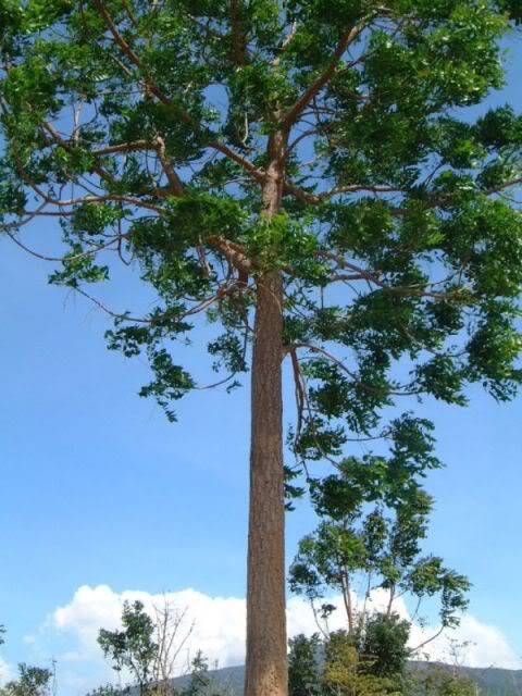 image013