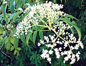 image014